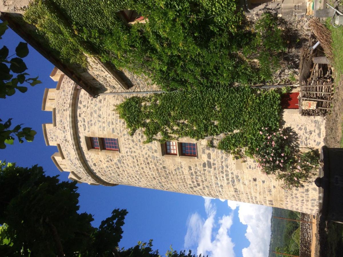 Chateau Royal De Saint-Saturnin Bagian luar foto